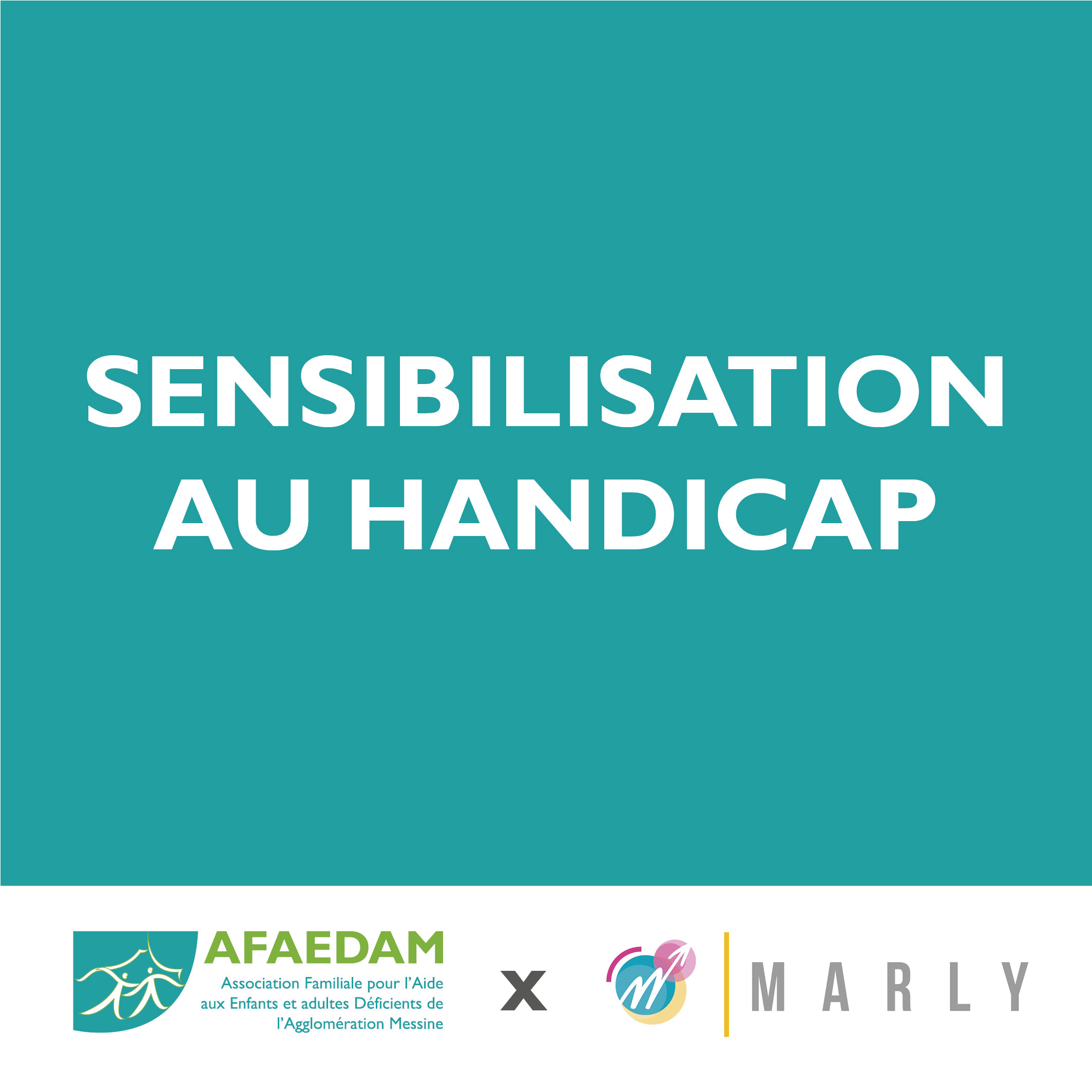 Sensibilisation Au Handicap - AFAEDAM